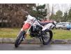 фото мотоцикла SKYBIKE CRDX 250 (MOTARD)
