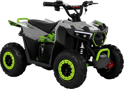 Электроквадроцикл Forte FFG1000 1000W 36V/12Ah