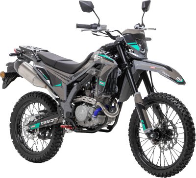 GEON X-Road 300 YGS