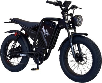 Электробайк Billgery Hamman 1000W 48V/18Ah