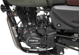 Фото двигателя мотоцикла FORTE FINDER 250