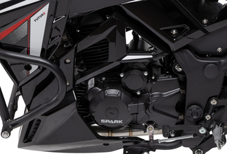 Фото двигателя мотоцикла Spark SP200R-41