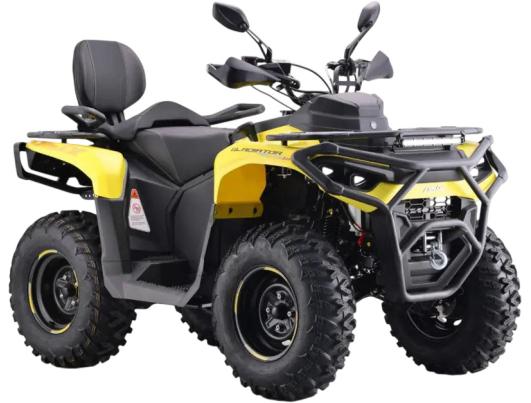 Квадроцикл Asix Gladiator 300 EFI