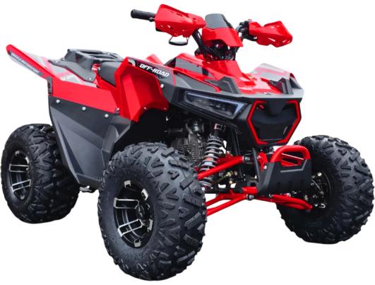 Квадроцикл FORTE AFF125 PRO