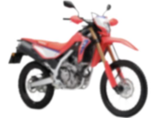 GEON X-Road 300 YGH