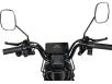 Фото руля электроскутера ATLAS Elegant Trike