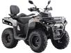 Фото квадроцикла Asix Gladiator 300 серого цвета