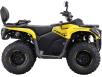 Фото квадроцикла Asix Gladiator 300 вид справа