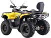 Фото квадроцикла Asix Gladiator 300 вид сзади под углом