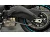 Фото маятника мотоцикла CFMOTO 675NK