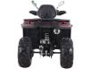 Фото квадроцикла Comman Ranger 250cc вид сзади