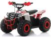 Фото электроквадроцикла Apollo Motors Commander E1000 вид спереди