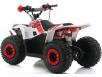 Фото электроквадроцикла Apollo Motors Commander E1000 вид сзади