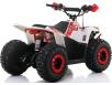 Фото электроквадроцикла Apollo Motors Commander E1000 вид сзади под углом