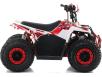 Фото электроквадроцикла Apollo Motors Commander E1000 вид справа