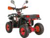 Фото электроквадроцикла XTR E-M14 1200W вид сзади