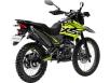 Фото мотоцикла FORTE CROSS 300 MAX вид справа под углом