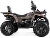 Фото квадроцикла FORTE Shark III 250 вид справа