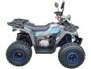 Фото квадроцикла FORTE Shark II 150 вид справа
