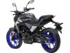 Фото мотоцикла FORTE FT 250CKP вид слева под углом