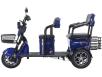 Фото электроcкутера Forte Transit-WN1072G вид слева