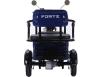Фото электроcкутера Forte Transit-WN1072G вид сзади