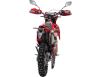 Фото мотоцикла GEON TRX 300 YGH PRO 19/16 вид сзади