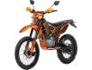 Фото мотоцикла GEON TerraX 250 YGH 2118 PRO вид спереди под углом