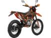 Фото мотоцикла GEON TerraX 250 YGH 2118 PRO вид справа под углом