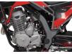 Фото двигателя справа мотоцикла GEON X-Road 300 YGH