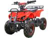 Hamer Brute 65CC