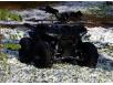 фото квадроцикла Hamer Raptor 125 в снегу