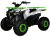 фото белого квадроцикла Hamer Raptor 125 на белом фоне