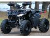 фото квадроцикла Hamer Raptor 125
