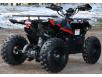 фото заднеприводного квадроцикла Hamer Raptor 125