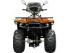 Фото квадроцикла Linhai Z250 EFI вид сзади