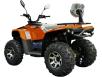 Фото квадроцикла Linhai Z250 EFI вид сзади под углом