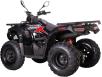 Фото квадроцикла Loncin XWOLF 200 вид сзади под углом
