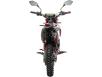 Фото питбайка PRB VEGA 125 вид сзади