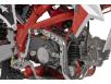 Фото кикстартера питбайка PRB VEGA 125