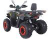 Фото зелёного квадроцикла ASIX RANGER 200 вид сзади