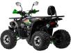 Фото квадроцикла Forsage Moto SL125-X2 вид сзади слева