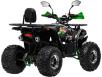 Фото квадроцикла Forsage Moto SL125-X2 вид сзади справа