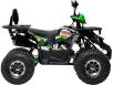 Фото квадроцикла Forsage Moto SL125-X2 вид справа
