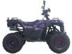 Фото квадроцикла Spark SP125-11 фиолетового цвета