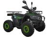Фото квадроцикла Spark SP125-12 зелёного цвета