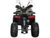 Фото квадроцикла Spark SP125-12 вид сзади