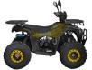 Фото квадроцикла Spark SP125-12 вид слева