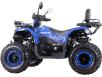 Фото квадроцикла Spark SP200-10 вид слева