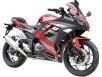 Фото мотоцикла Spark SP300RS-1 красного цвета